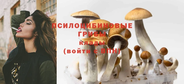 ECSTASY Алексин